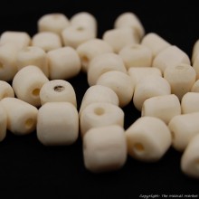 White Cow Bone Beads 513-102