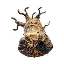 Handmade Banana Fiber Baobab Tree